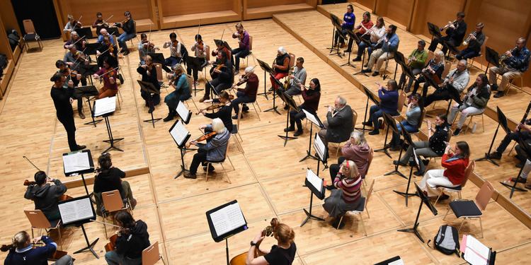 An orchestra